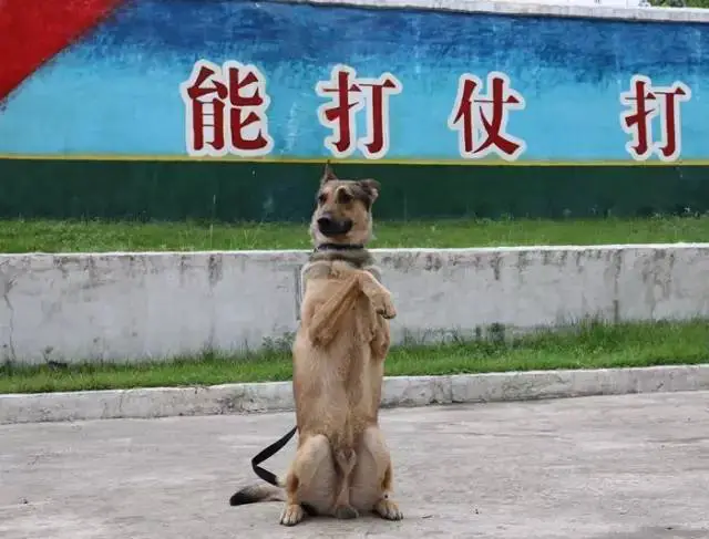 信息化设备如何提高篮球训练中的反馈速度_0