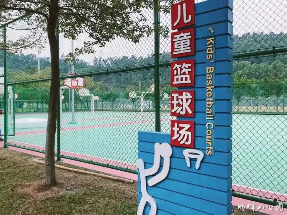 哪里可以找到有效的篮球进步训练计划?_1